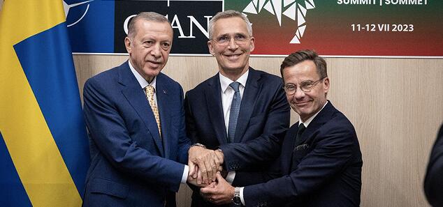 埃尔多安同意瑞典加入北约