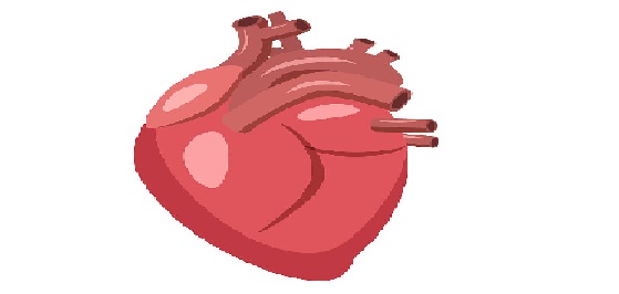 女婴心脏扎进一根4厘米绣花针