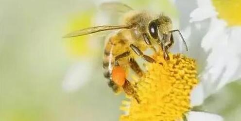 金价飙涨有人连夜抛售