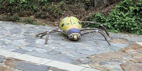 黄金卖爆了每克已涨破600元