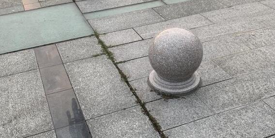 大连海关旅客携核辐射保健石入境