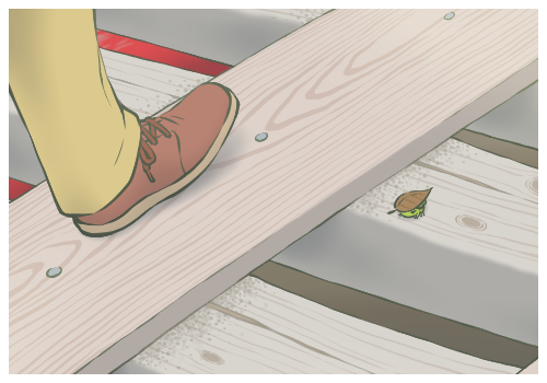 阿根廷新总统誓言炸掉央行