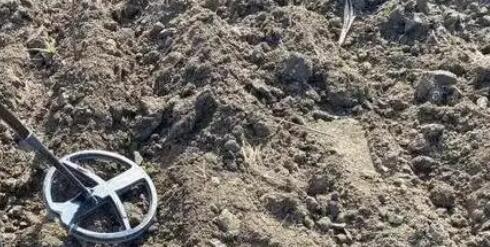 浙江一村庄突然涌现超多寻宝者