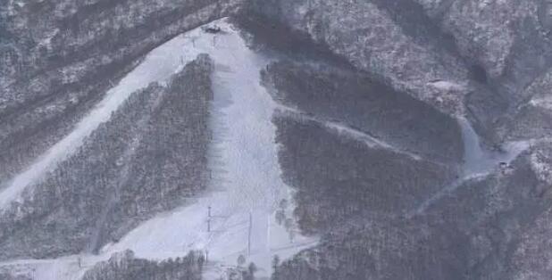中国女子在日本滑雪被雪掩埋去世