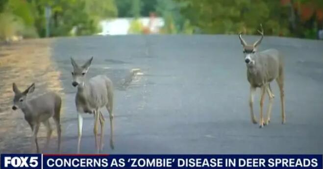 美国出现僵尸鹿病毒