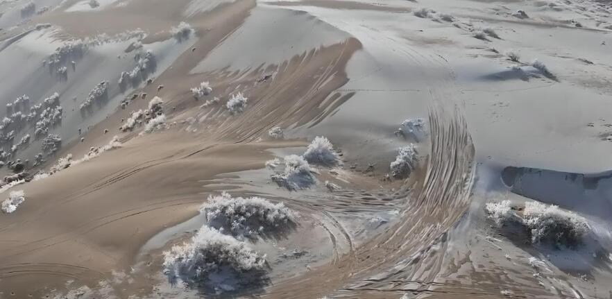 新疆沙漠现雾凇奇观
