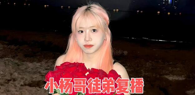 小杨哥徒弟红绿灯的黄复播