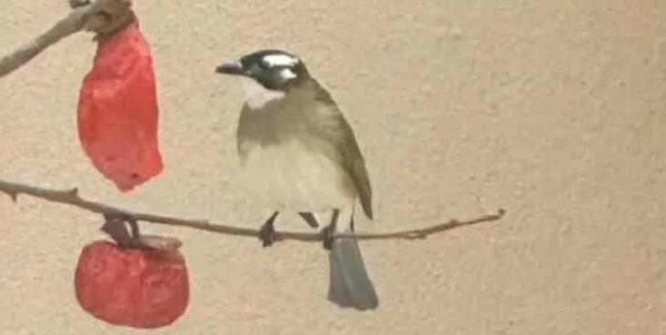 雪后鸟儿啄食红柿神还原国画