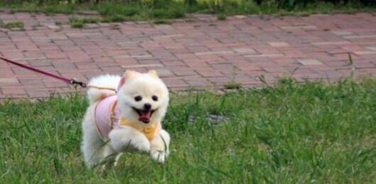 28年一遇的疯狂星期四