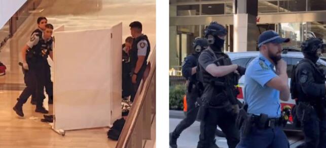 悉尼突发大规模行凶事件