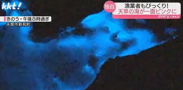 日本一处海域呈现神秘粉红色