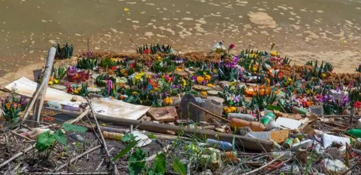 印度首都垃圾遍地