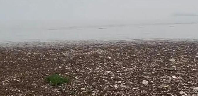 鄱阳湖湖面被垃圾填满