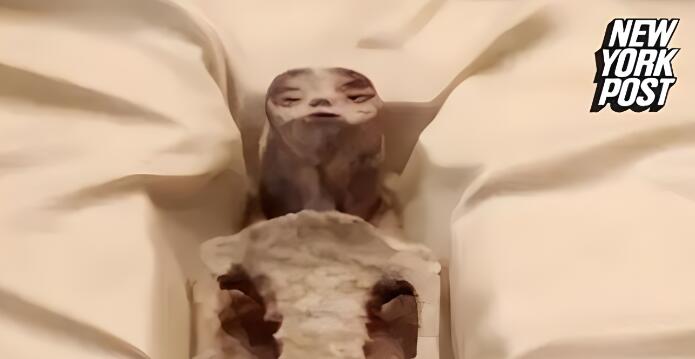 墨西哥国会揭晓外星人化石