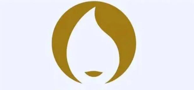 陈鲁豫回应撞脸巴黎奥运会会徽