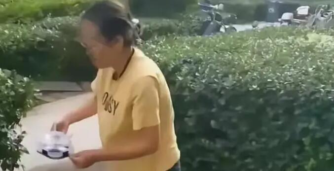 女子小区内投放蟑螂