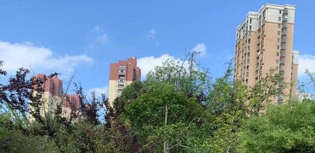 塔西佗陷阱是什么意思