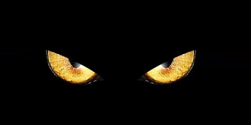 美国芯片巨头微芯陆续遭受网络攻击