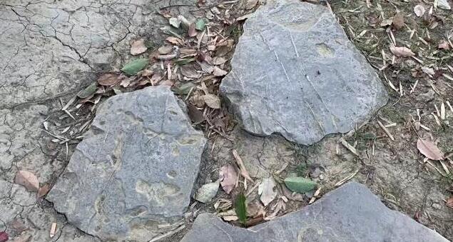 翡翠最不值钱的颜色