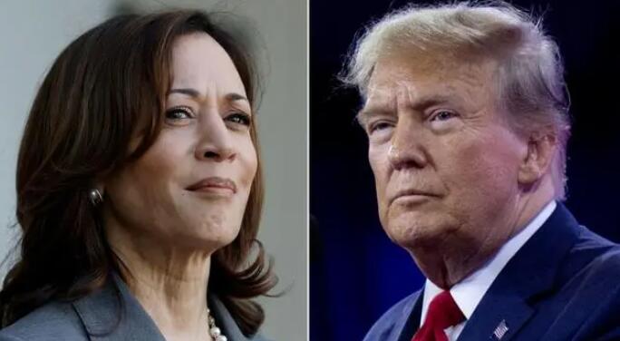 美国副总统哈里斯后来居上