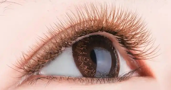 国产假睫毛成老外刚需